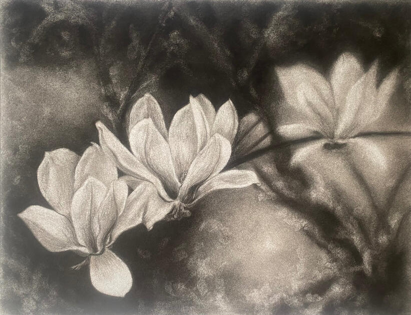 Focus | 2026 | sanded charcoal on approx. 38x29cm cotton paper