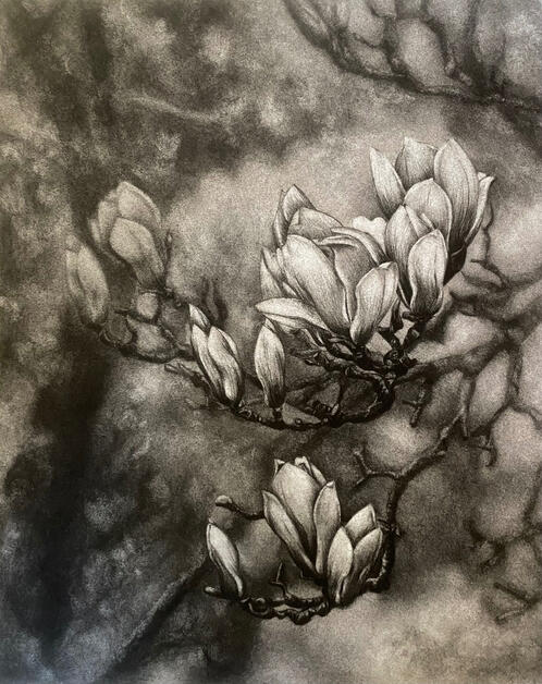 Focus II | 2026 | sanded charcoal on approx. 33x41cm cotton paper | AVAILABLE