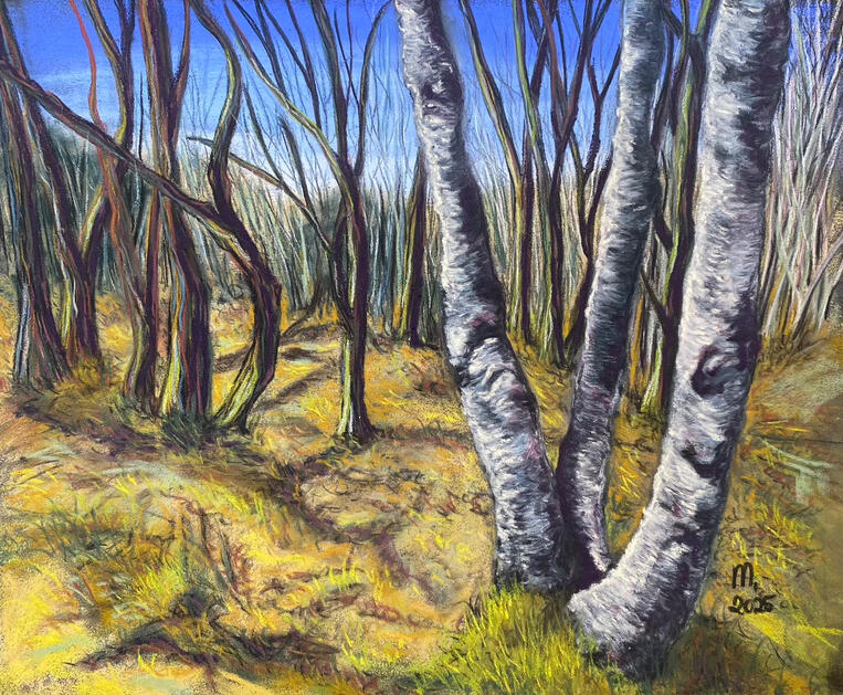 Birches | Headley Heath | 2025 | soft pastels on pastelmat | SOLD