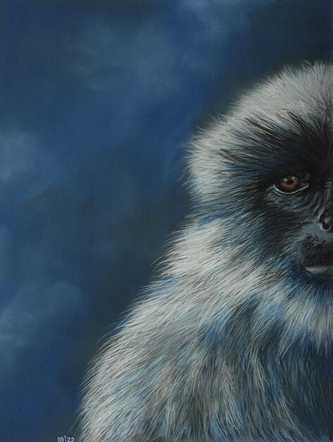 Blue Ape | 2022 | soft pastels on 30x40cm pastelmat | SOLD