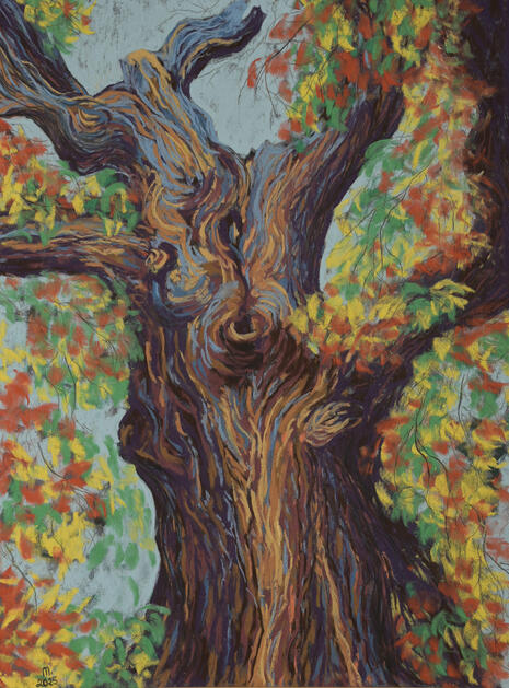 His Majesty | Richmond Park | 2025 | soft pastels on 30x40cm pastelmat